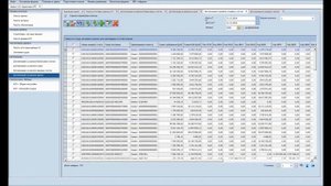 Детализация КРЗ FLEXTERA BI