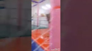 3 кота лабиринт