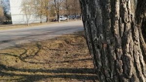 30.03.2025.Д.Гальчино.Домодедово.Автобусная остановка"АПТЕКА". ОБЗОР.