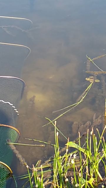 VID_20240629_075653 смотреть онлайн