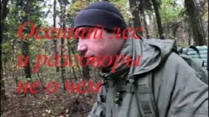 Осенний лес и разговоры не о чем
