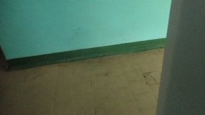 Музыкальный лифт Евролифтмаш-(ELM Queen2018 г.в.), V=1 м/с, Q=400 кг (28) + с интересным объявлением