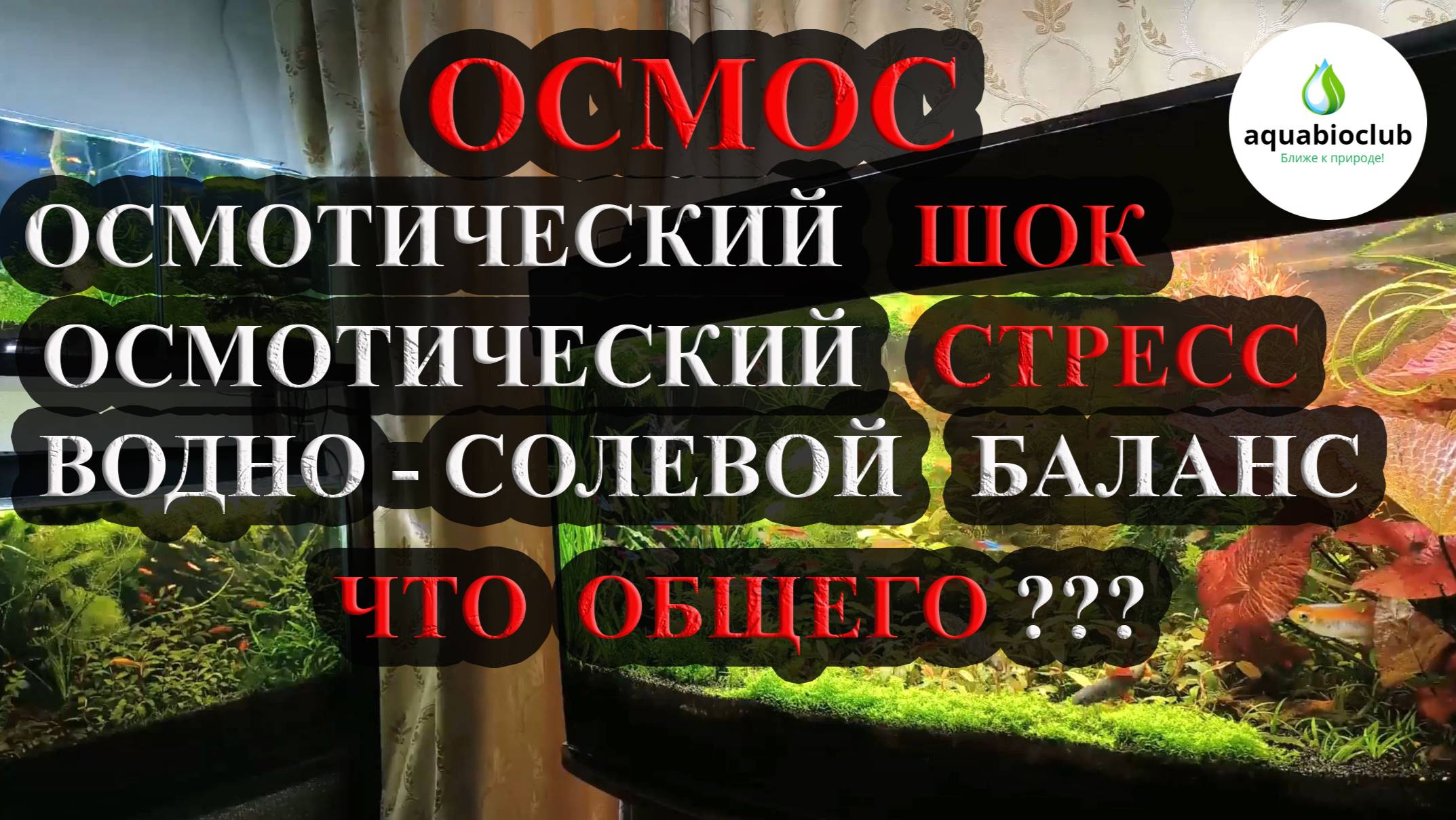 Осмос, осмотический стресс/шок и аквариумистика. смотреть онлайн