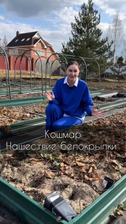 🤯 У нас нашествие белокрылки!