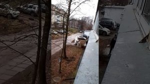 VID_20241122_124309.mp4