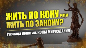Жизнь по КОНу // Что такое заКОН?