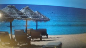 какой цвет у Таба лапки???🤔