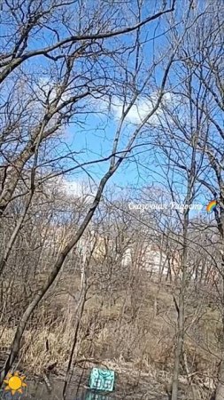 Прогулка на пруд Семхоз 30.03.25 Саратов