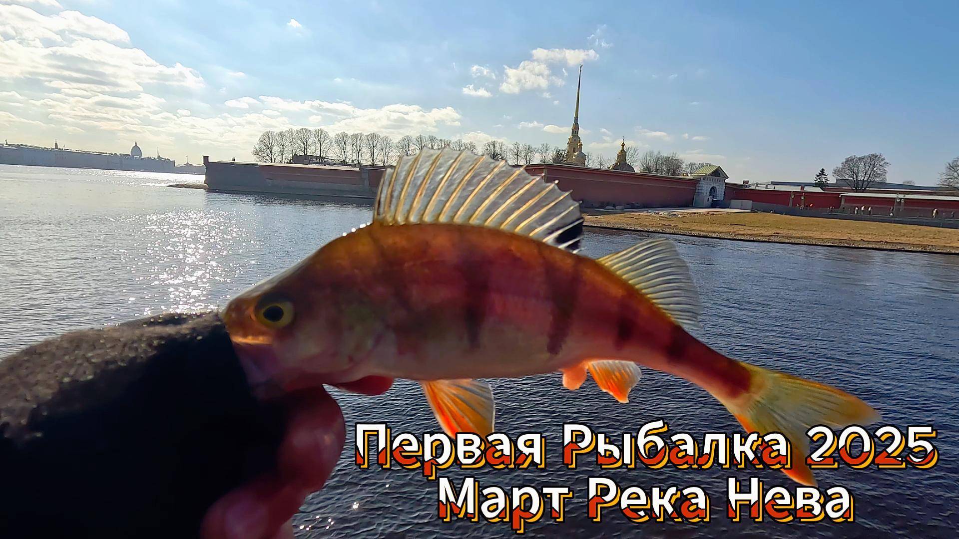 ПЕРВАЯ РЫБАЛКА На Открытой Воде Весна Март 25 года река НЕВА ЛОКАЦИЯ АВРОРА 2 ЛОКАЦИЯ ЗАЙЧИЙ ОСТРОВ