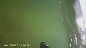 Подводная охота на судака