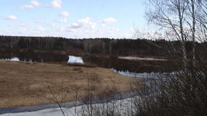 Нижегородская область