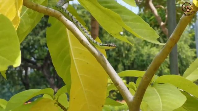 Дети и игрушки. Даня и Диана распаковывают новую машинку. МанкиТайм смотреть онлайн