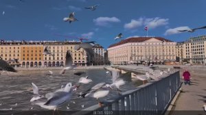 🇨🇭 Женева, Швейцария  - зимняя прогулка в холоде и красоте (2025)