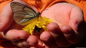 Андрей Юрич  "Твори добро" читает Любовь Б.