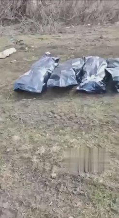 Жёсткие кадры зверств Всу в Курской области 🤬