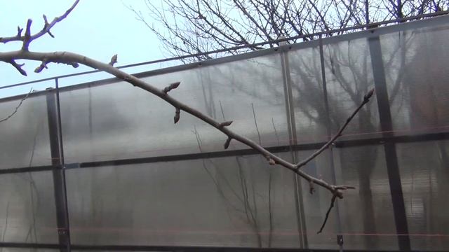 АПРЕЛЬ. 1-я ВЕСЕННЯЯ ОБРАБОТКА САДА смотреть онлайн