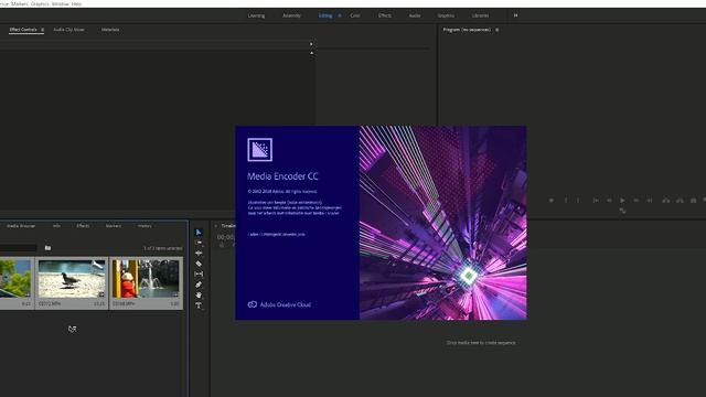Adobe Premiere Problems with Playback | Edit SUPER FAST on ANY computer!