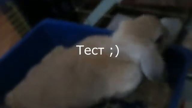 мовави 14 смотреть онлайн