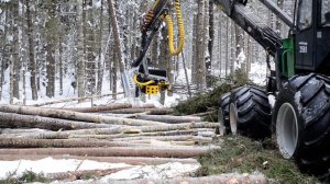 Харвестер Амкодор 2561 в работе