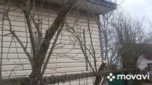 Пила (пилочка) аккумуляторная в руках блондинки