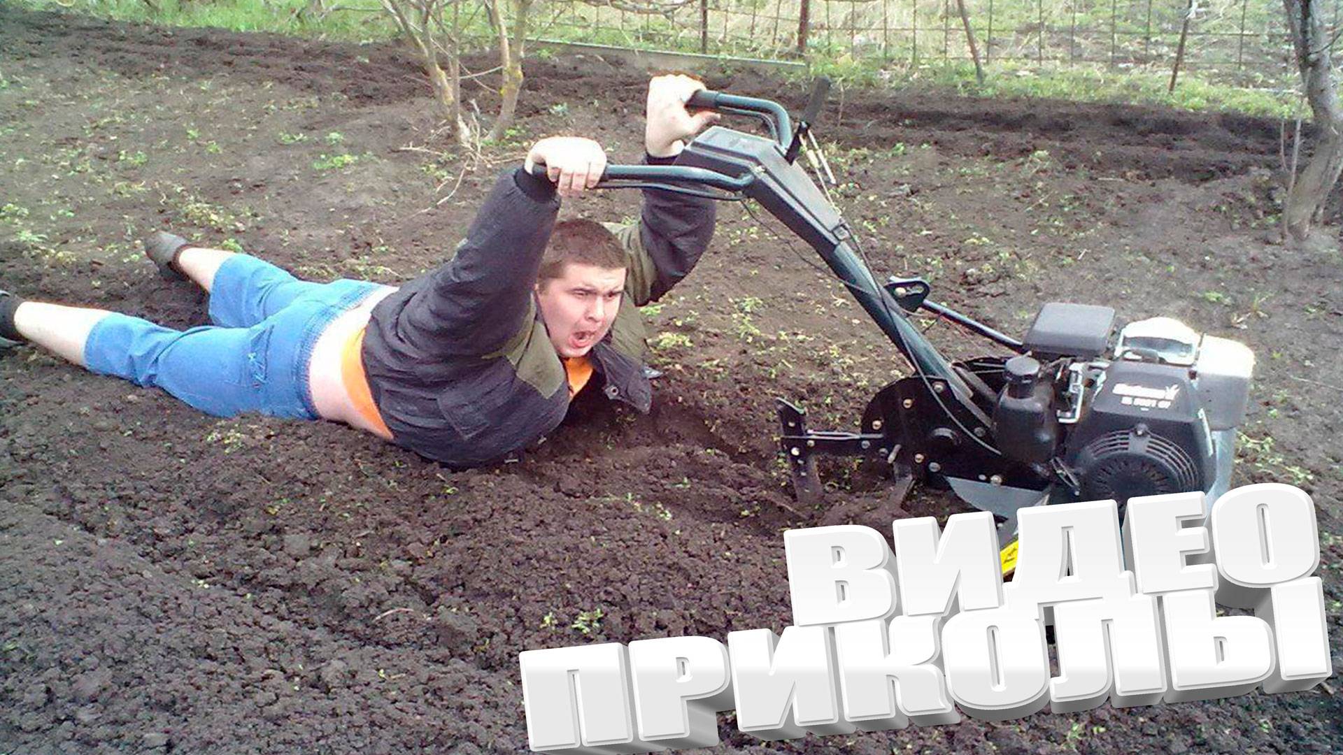 ОТБОРНЫЕ ПРИКОЛЫ \ REELS 2025 \ INSTAGRAM REELS \ BORZO REAL