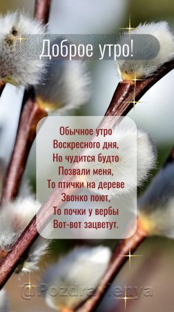 Доброе утро!