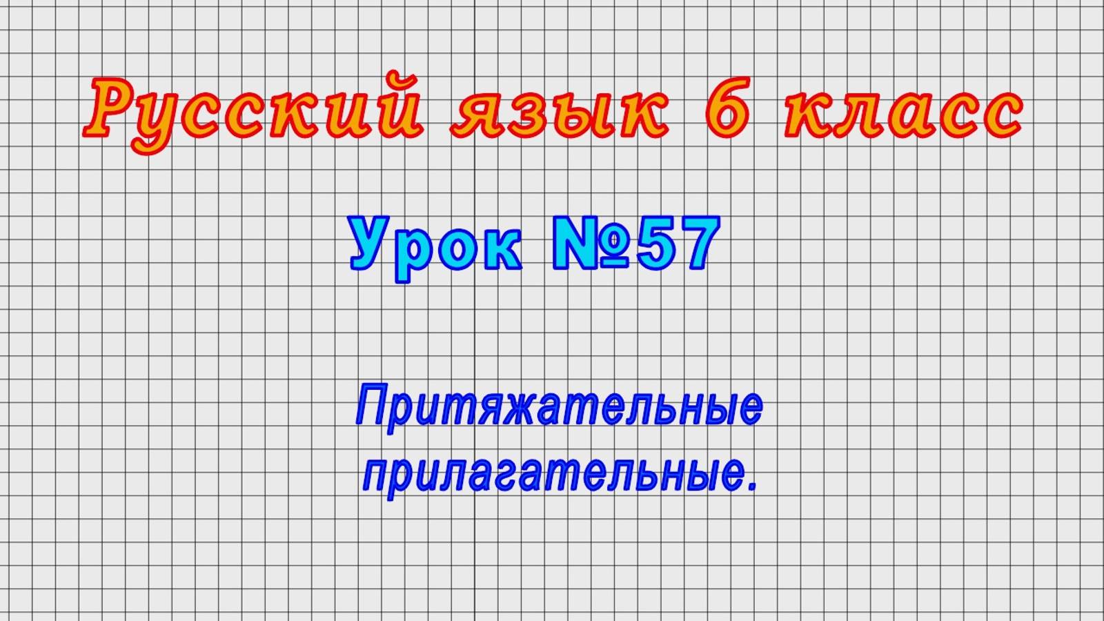 Русский язык 6 класс (Урок№57 - Притяжательные прилагательные.)