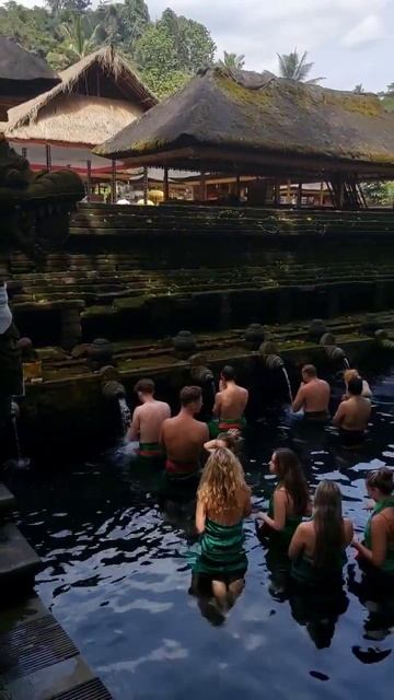 MELUKAT PURA TIRTA EMPUL BALI #shorts #bali смотреть онлайн