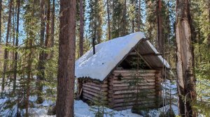 ПОХОД ДО ИЗБЫ. МЕДВЕЖИЙ ЖИР С КАРТОШКОЙ СПАСАЕТ ОТ ГОЛОДА. ТАЁЖНЫЙ БЫТ.