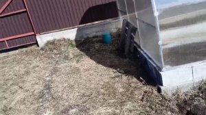 Переделала 💯 дел! Невозможно вкусный печеночный торт))