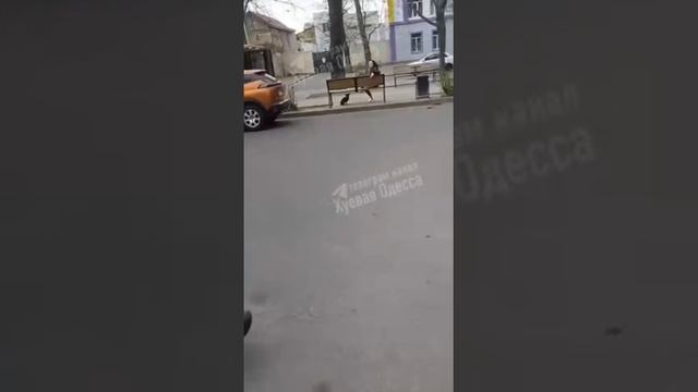Украинский не доброволец.