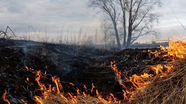 Остановить незаконный пал травы смотреть онлайн