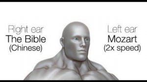 🦉 Подборка мемов про сову, которая работает в ночную смену 🕶️🌙 00038