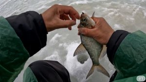 Рыбалка на безмотылку на реке Ока. Зимняя рыбалка 2024.