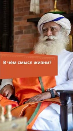 В чём смысл жизни?