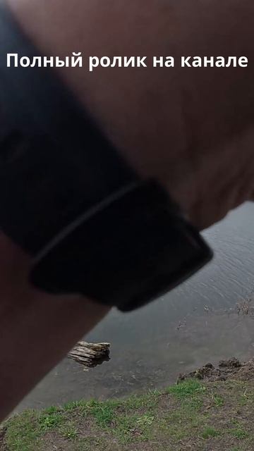 ЩУКА = 100%ая приманка +100%ая тактика!!! когда у всех не клюёт - ты поймаешь !!!! #shorts #рыбалка смотреть онлайн