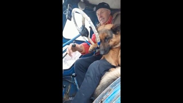 Видео приколы каждый день. ССЫЛКА В ОПИСАНИИ!