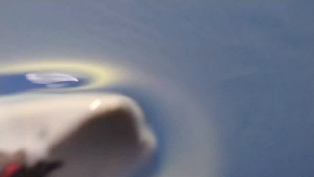 JAWS 2 TOY MOVIE ESPAÑOL LATINO смотреть онлайн