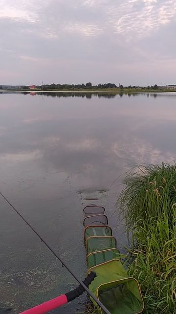 VID_20240630_040317 смотреть онлайн