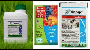 Защита соцветий винограда. 3-я важная обработка перед цветением