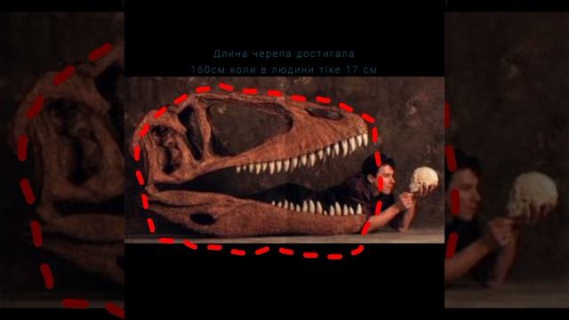 Кархародонтозавр—Король до Тиранозавра. #рек #динозавры #наука #древниймир