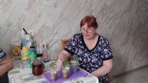 Эксперимент. Как растёт перец в песке