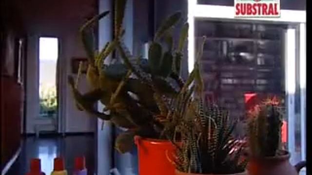 Substral Kertészeti tanácsok смотреть онлайн