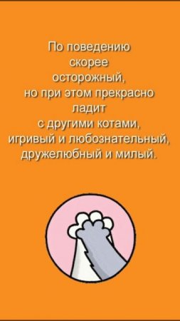 💜 Котёнок Томас ищет дом! 💜