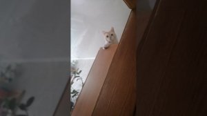 Красавчик 🤗🤗🤗