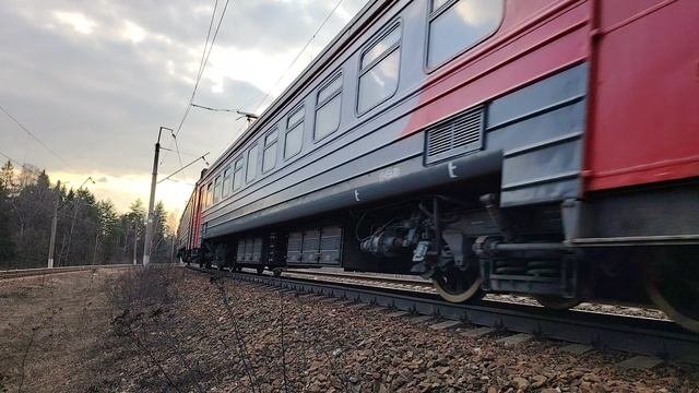 Спот
