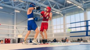 Соревнования по боксу / юноши 15-16 лет / 50 кг
