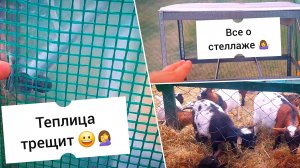 ГОТОВЛЮ теплицу к 🌱 РАССАДЕ 😄.