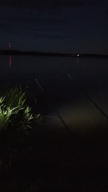 VID_20240720_222647 смотреть онлайн