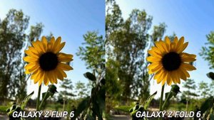 Samsung Galaxy Z Flip 6 VS Samsung Galaxy Z Fold 6 - Сравнение камер в реальной жизни.